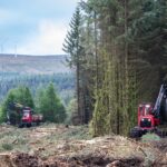 Commercial Forestry Photography