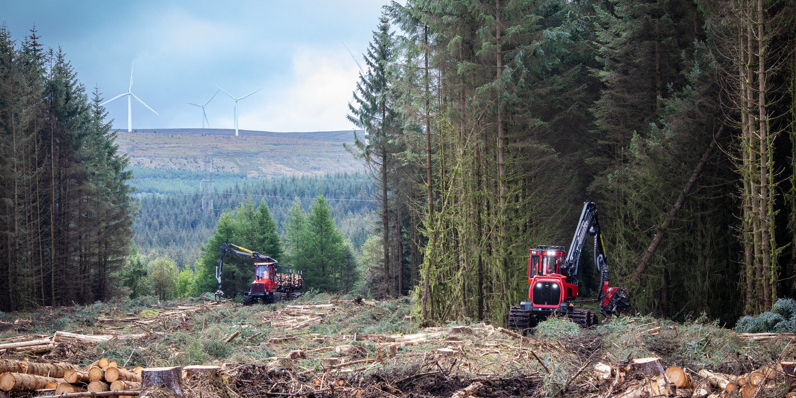 Commercial Forestry Photography